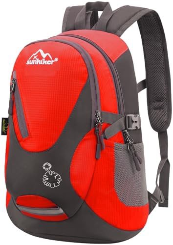 Sunhiker men's travel daypack 20L