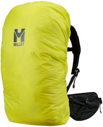 Millet