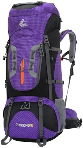 Bseash 80L touring hiking backpack in purple